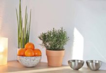 My work only allows Internet Explorer, so I have to manually