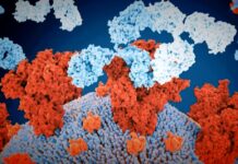 First Omicron death: 63-year-old dies in Rajasthan