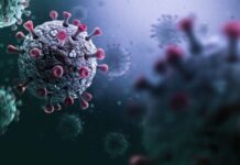 Coronavirus: Covid’s new variant XE enters India, reported in Gujarat